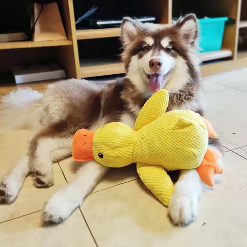 Stomping Duck Interactive Plush Dog Toy