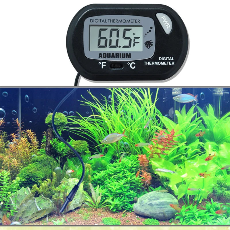 Digital Aquarium Thermometer with Probe — Suction Cup