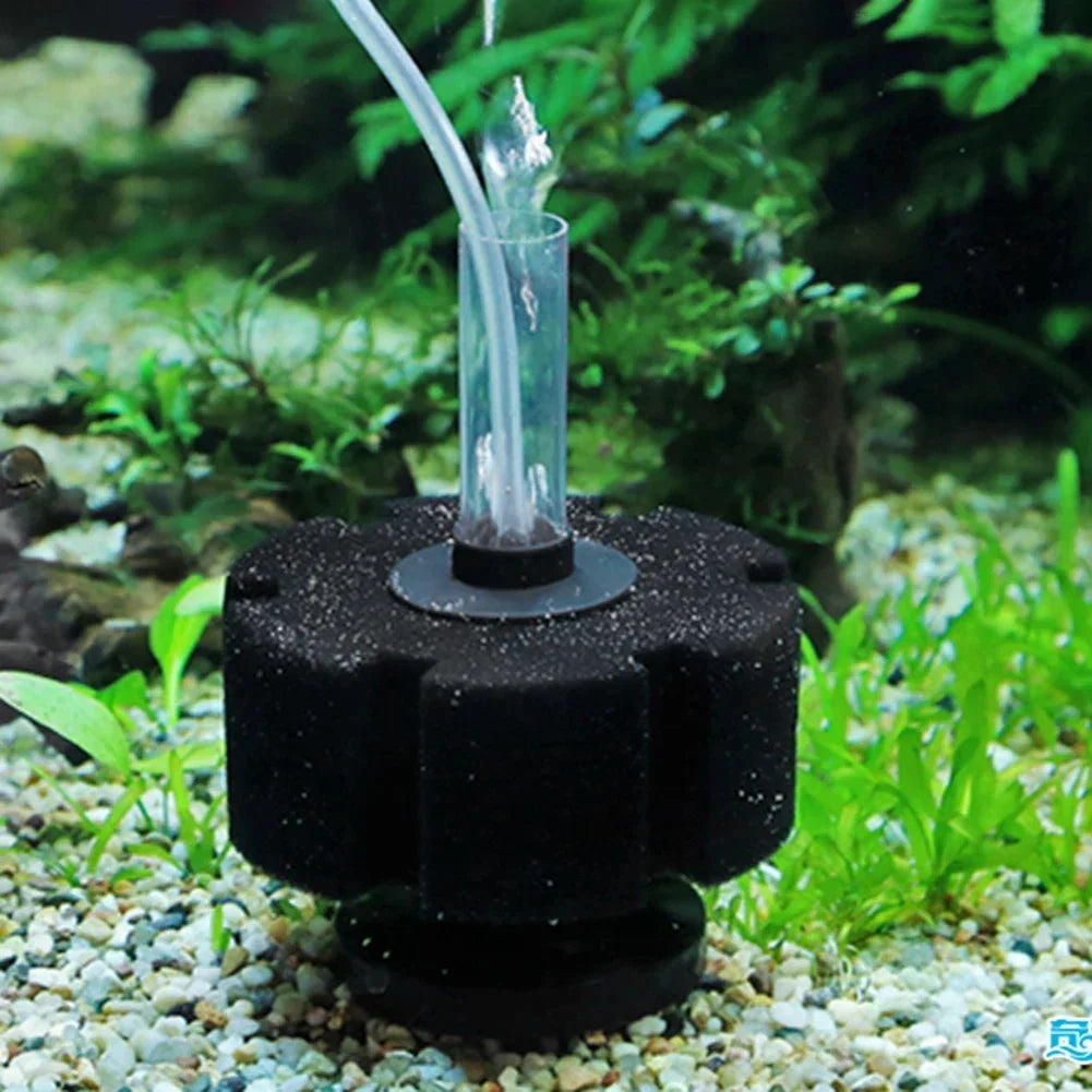Aquarium Sponge Filter & Replacement Sponges (Air-Driven)