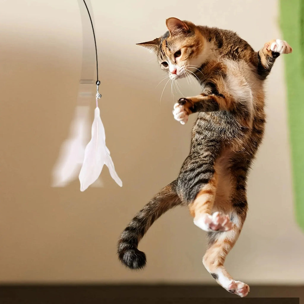 Cat Feather Teaser Wand with Suction Cup
