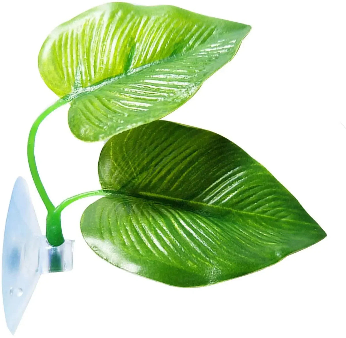 Betta Leaf Hammock
