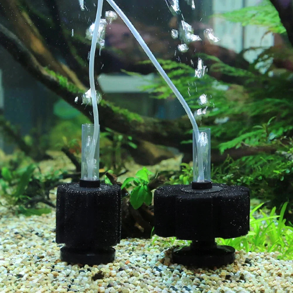 Aquarium Sponge Filter & Replacement Sponges (Air-Driven)