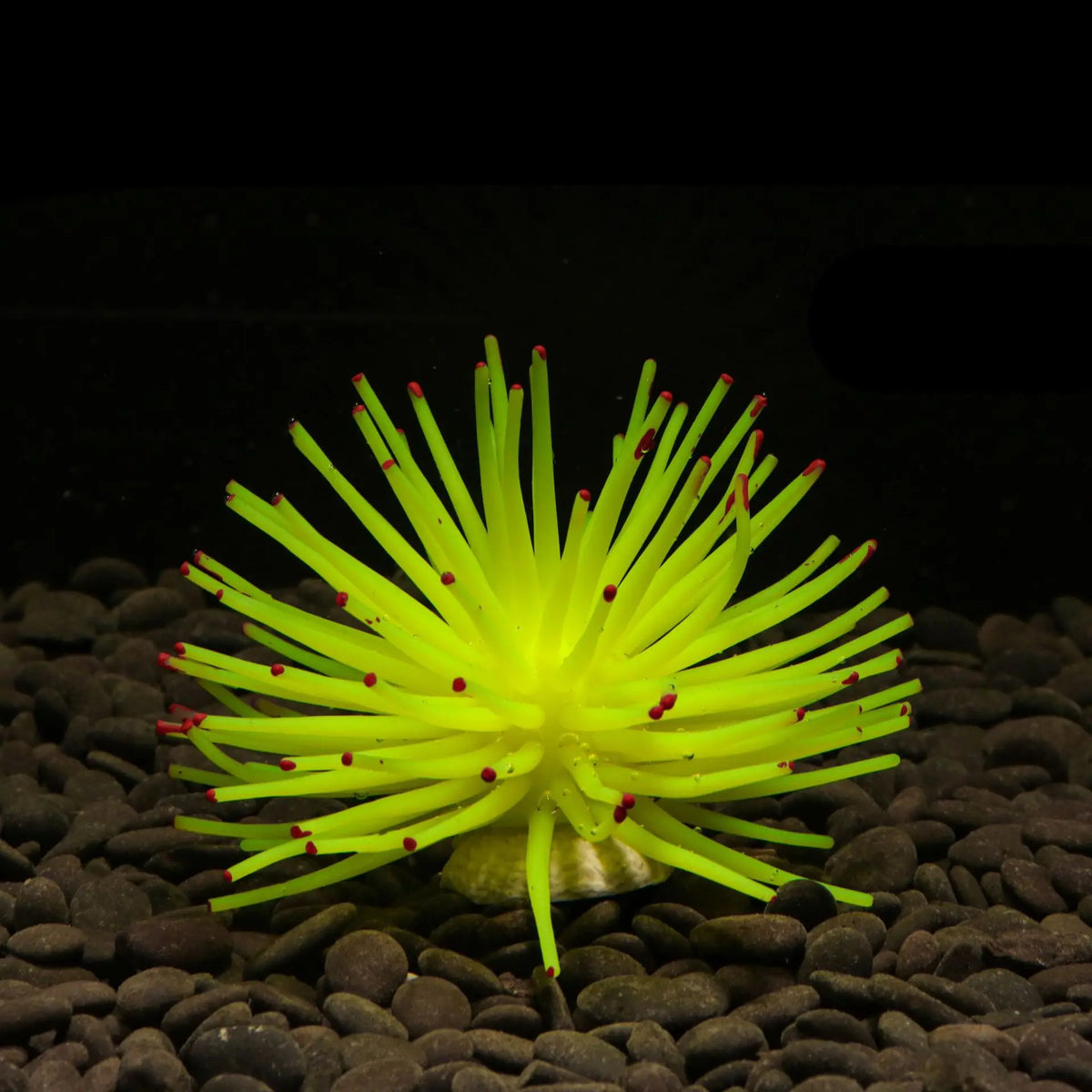 Silicone Sea Urchin Aquarium Decor