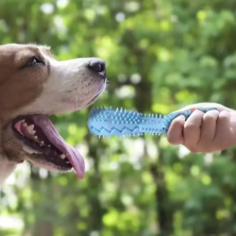 TPR Dog Teething Chew Stick