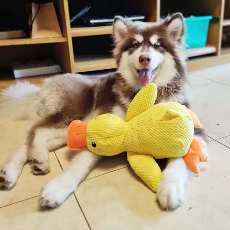 Dog hugging the Stomping Duck plush toy